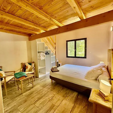 La Maison Du Grand Chene - Piscine & Paisible Villa Massillargues-Attuech